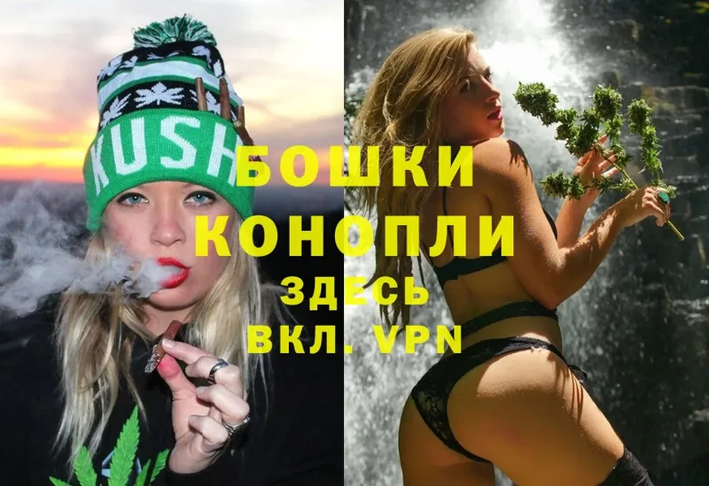 Бошки Шишки OG Kush  Кимовск 